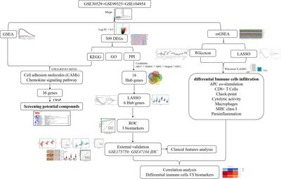 Identification of a novel immune landscape signature as effective diagnostic markers related to immune cell infiltration in diabetic nephropathy